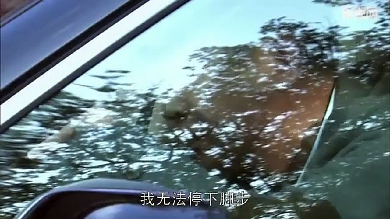 《青瓷》32