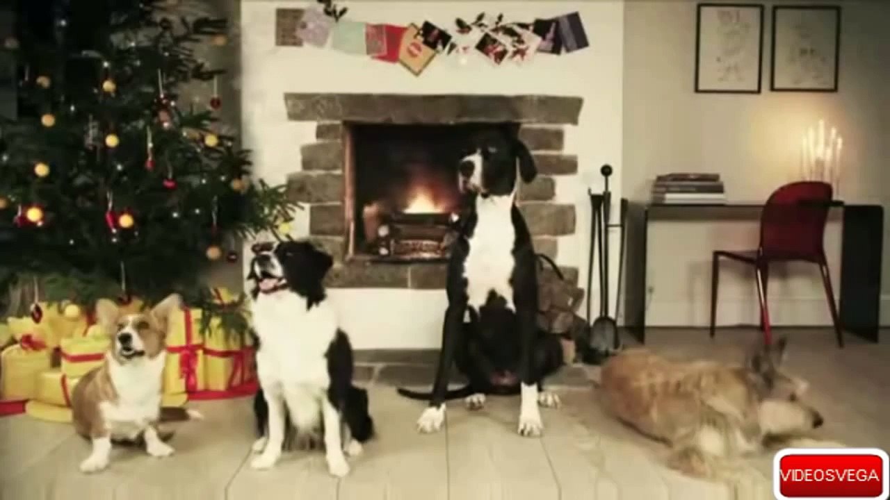 PERROS CANTANDO  NAVIDAD.
