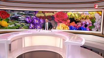 Rungis : le plus grand marché aux fleurs du monde