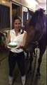 Horse blows out his birthday candles and smile!
