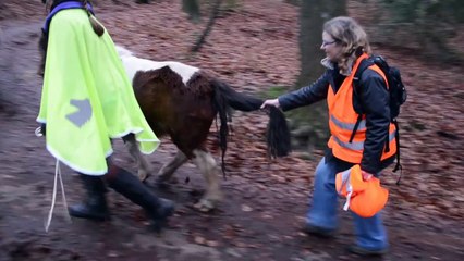 "Du Schwabelsabel" - Outtakes