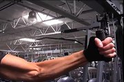 Best Biceps Workout!!!  One-Arm Cable Curls!! Jay Robb