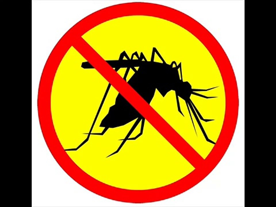 anti mosquito Sound