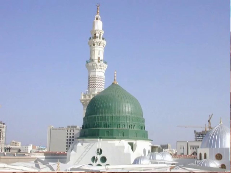 NEW BEST NAAT