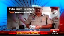 Ahmed Qureshi Classic Chitrol Of Indians On Saying ‘We Caught Pakistani Spy Pigeon’