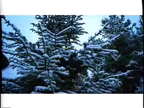 Silkk The Shocker feat. Trina That's Cool - Bohemia After Dark