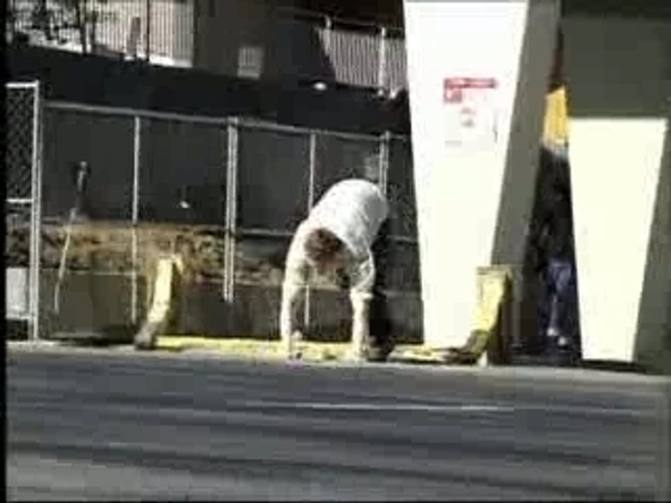 Skate - caidas graciosas