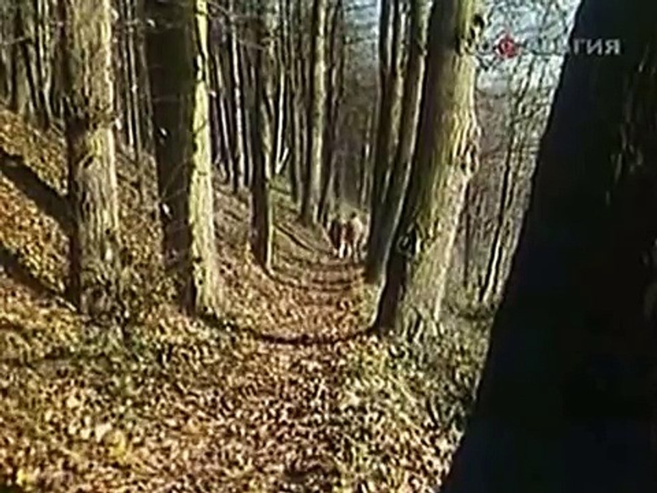 Этот фантастический мир
