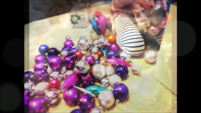 How to Clean a Gerbils Cage - Step by Step