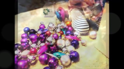 How to Clean a Gerbils Cage - Step by Step