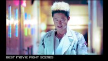 Donnie Yen Vs Wu Jing - Best Movies Fight