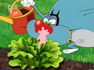 Oggy and the Cockroaches , S02E57 ,Baby Boum.flv