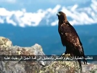 نشيد  أمل يوقظ همتنا- nashid