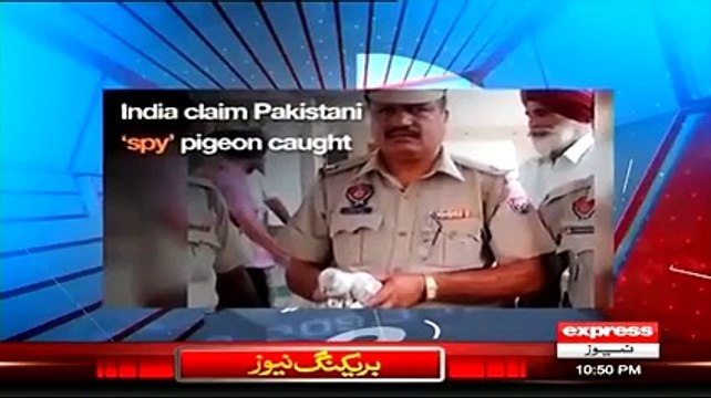 پاکستانی کبوتر جاسوس پکڑنے کی خبر پر احمد قریشی نے بھارت کی بینڈ بجا دی