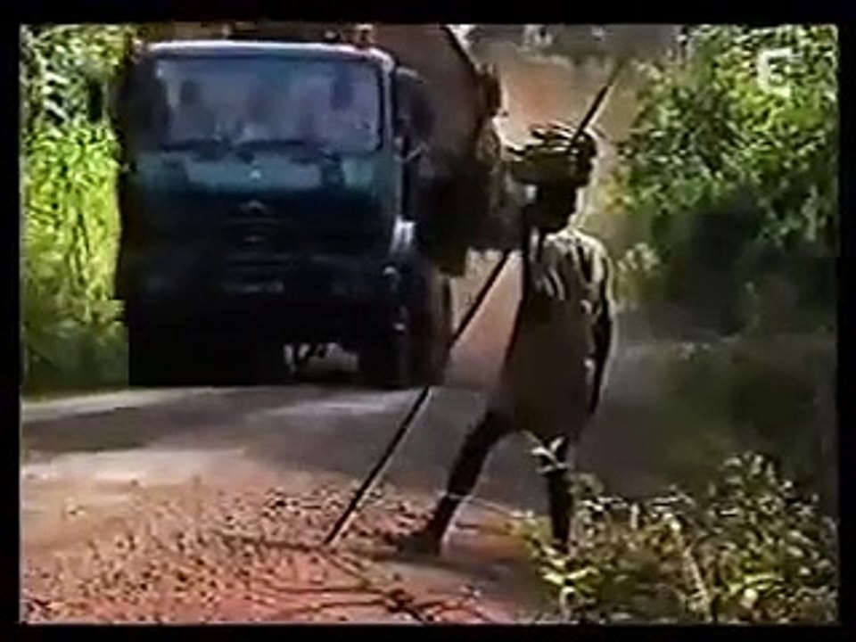 Le gorille Michael exprime sa souffrance