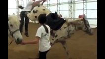 Stupid guy gets kicked by Horse! (Totally Deserved It!!)