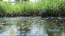 Ecuador tribe in rare visit to help clean-up Lousiana oil spill
