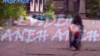 VIDEO ANEH MONYET  VIDEO ANEH MONYET NAIK MOTOR GP DAN NAIKI AYAM KAMPUS