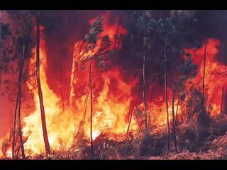 Скачать видео: Queimadas