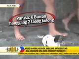 Puppy torture video made in PH