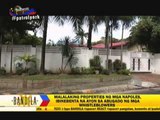 More Napoles properties for sale, lawyer says