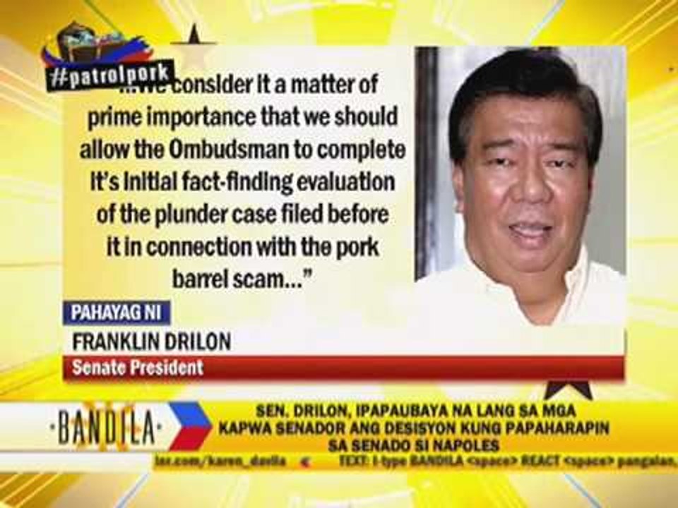 Drilon: I am anti-pork