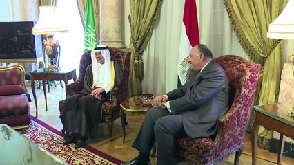 Egypt, Saudi FM's meet to discuss regional hotspots