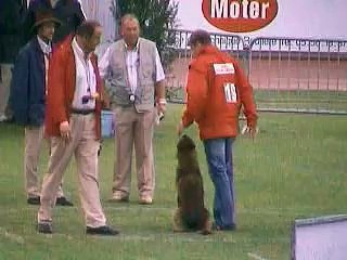 finale mérignac ring