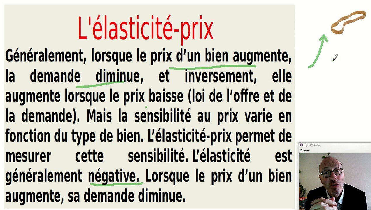 Les élasticités, le cas de l'élasticité-prix de la demande