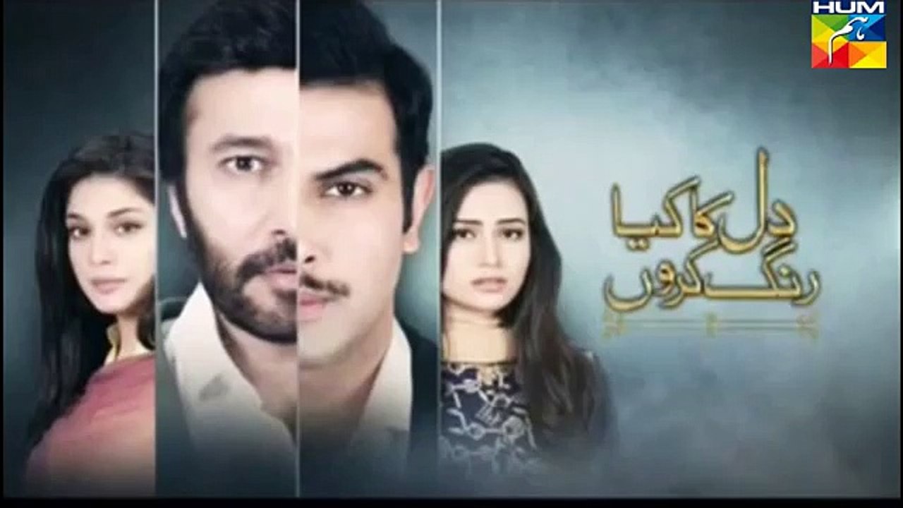 Dil Ka Kya Rung Karun next Episode 14 Promo on HUM TV Drama 29 May 2015