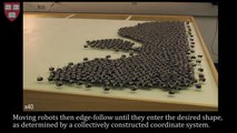 Programmable self-assembly in a thousand-robot swarm