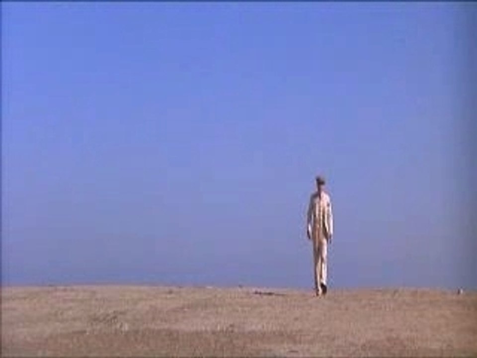 papillon (1973)