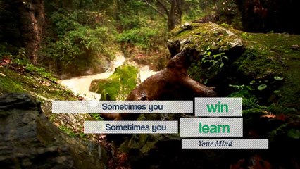 After Effects Project Files - Power of Quotes - VideoHive 10000479