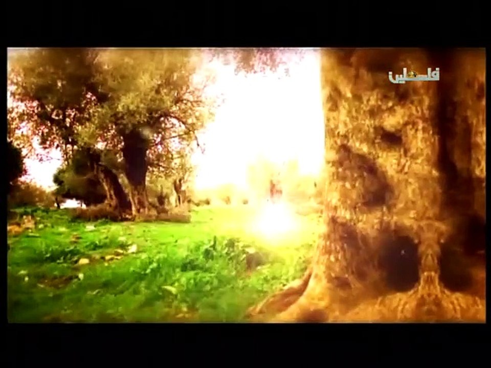 فلسطين هذا الصباح ج1 - 30/5/2015