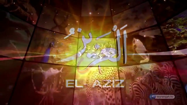 Ey İnsan..! En küçük canlıdan, galaksilere kadar her şey Allah'ı zikrederken, nasıl olur da sen Rabbine nasıl isyan edersin? (Kesinlikle izleyin!)