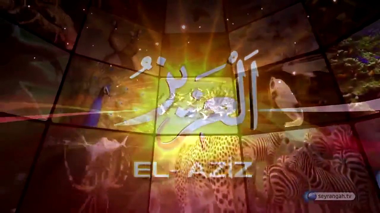 Ey İnsan..! En küçük canlıdan, galaksilere kadar her şey Allah'ı zikrederken, nasıl olur da sen Rabbine nasıl isyan edersin? (Kesinlikle izleyin!)