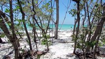 BeachHunter's Florida Gulf Beaches Access Guide
