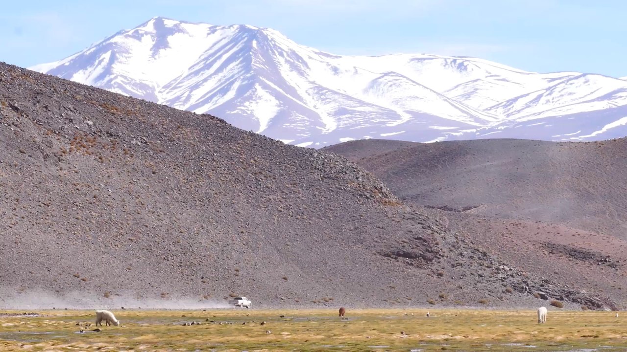 Trophée Roses Des Andes 2015 - 26 minutes (sous-titré espagnol)