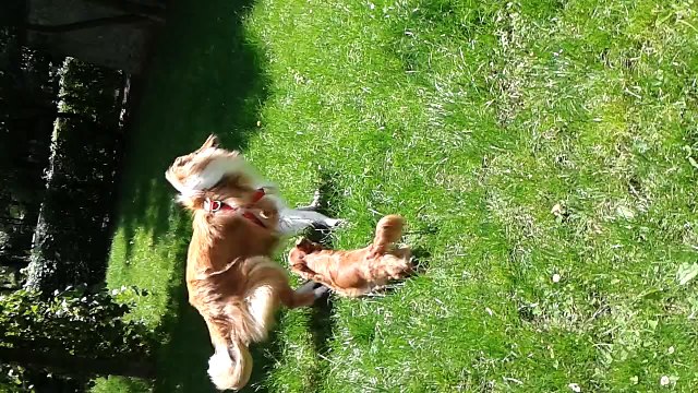 My litlle friends in Bucharest in cartier Titan 30.05.2015