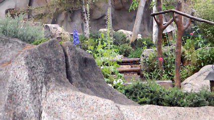 Matterhorn Bobsleds HD POV- Disneyland