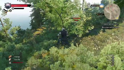 The Witcher 3:Wild Hunt - How To Unlock Whirlwind Fast Attack Ability (Ps4/Pc/One)