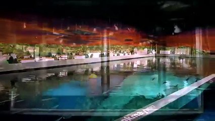 Istanbul Aquarium Tour, Istanbul City Tour