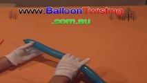 Advanced Balloon Twisting instructions - AMAZING BALLOON DOG