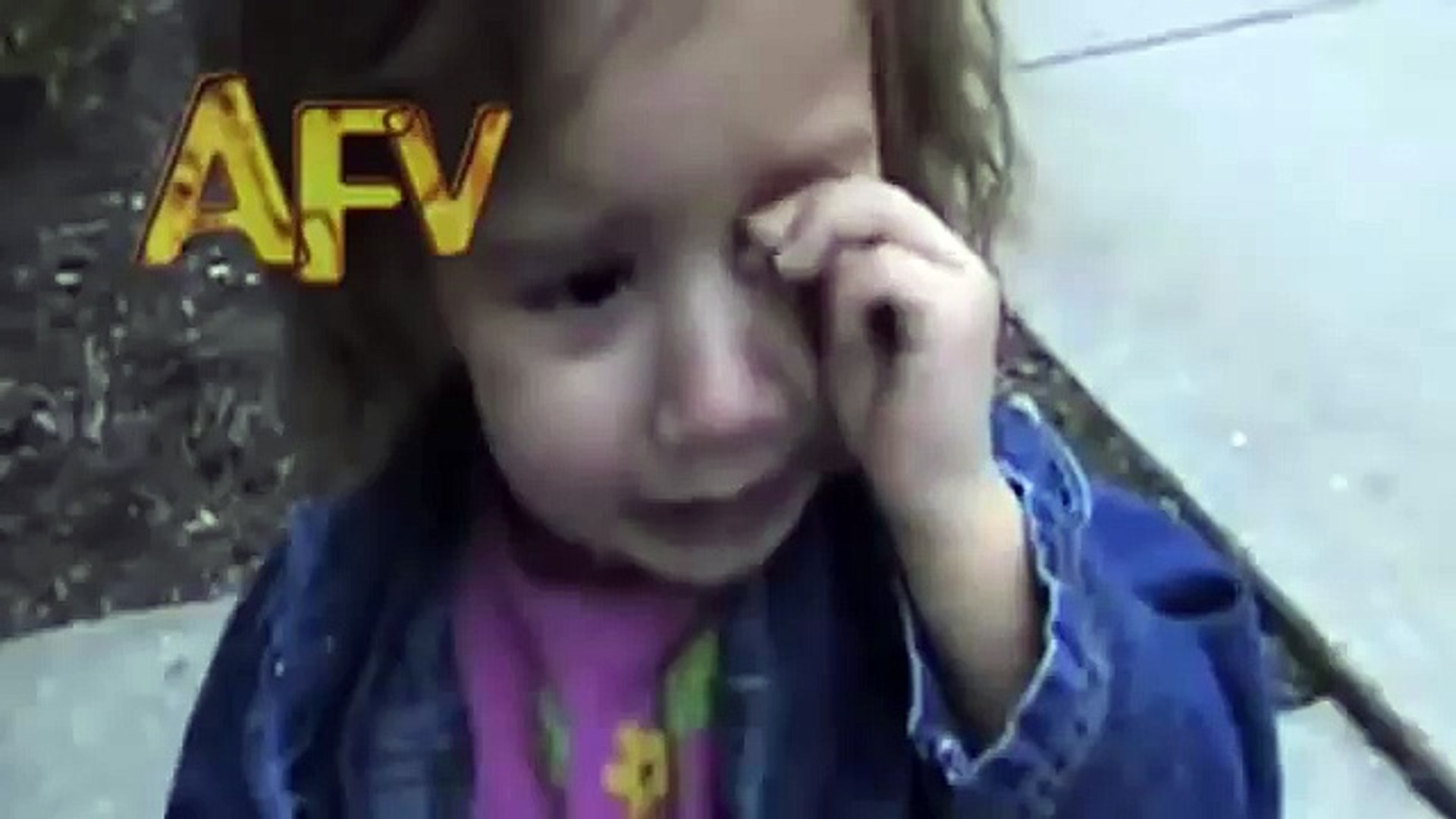 Ferocious Dog Bite | Dog | AFV