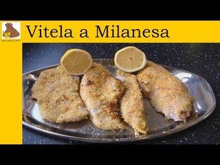 receita da vitela a milanesa (facil e rapida)