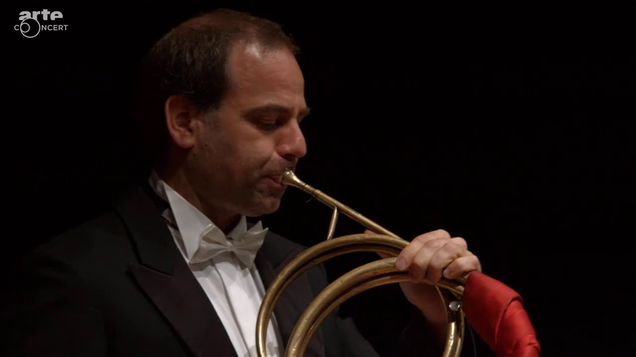 Giulio Cesare in Egitto, Haendel - « Va tacito e nascosto » (S. Connolly, 2015)