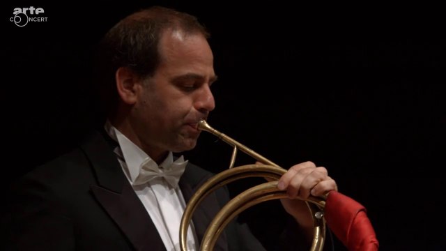 Giulio Cesare in Egitto, Haendel - « Va tacito e nascosto » (S. Connolly, 2015)