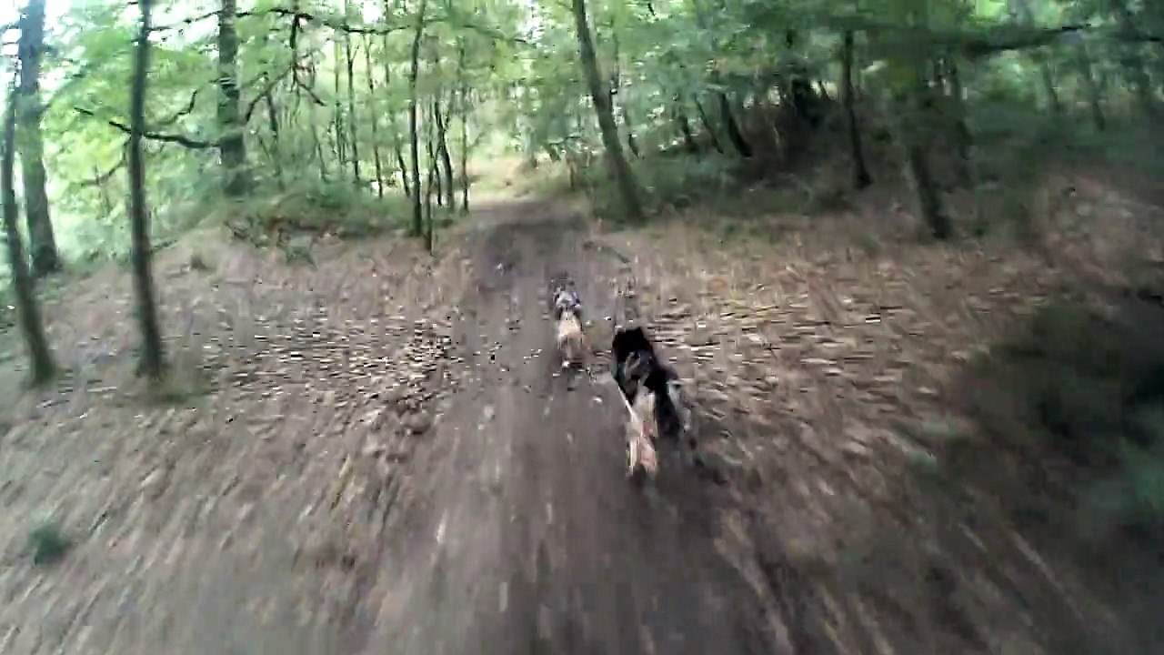 forges les eaux 2014 deuxième manche (1)