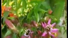 معجزة قرأنية مكان وجود السموات السبع والارض السبع