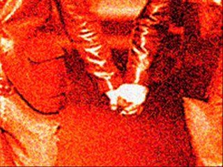 HOMOSEXUAL BISEXUAL HETEROSEXUAL REALITY